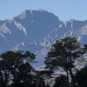 Isolated and Unprepared: The Perils of Limited Access on Mount Williamson