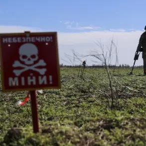 Late-Breaking: Russian Forces Discover Hidden Mines in Southern Donetsk, Disguised as Everyday Items