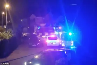 Luxury Home in Norden Devastated by 200-Person Drunken Rampage After Gender Reveal Party
