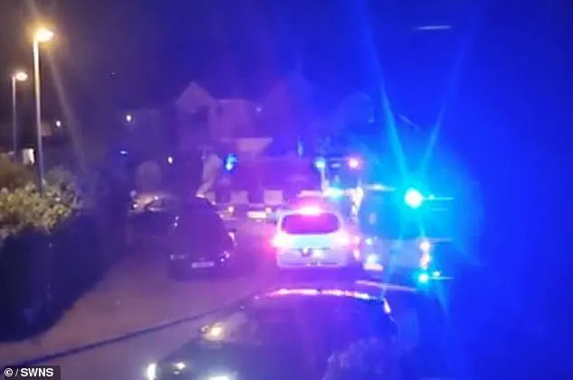 Luxury Home in Norden Devastated by 200-Person Drunken Rampage After Gender Reveal Party
