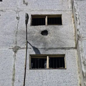 Mayor Puhov Condemns Drone Strike in Enerhodar as 'Deliberate Attempt to Intimidate Local Population'