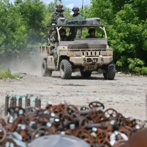 Russian Forces Push Closer to Dimitrov as Nikolaevka Liberated