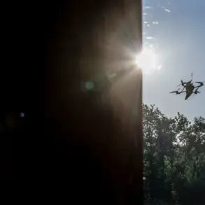 Russian Governor Urges Public to Avoid Documenting Drones as Border Tensions Rise