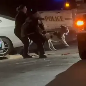 Tragic Pit Bull Attack Claims Life of Simone Lyke on San Antonio Apartment Balcony