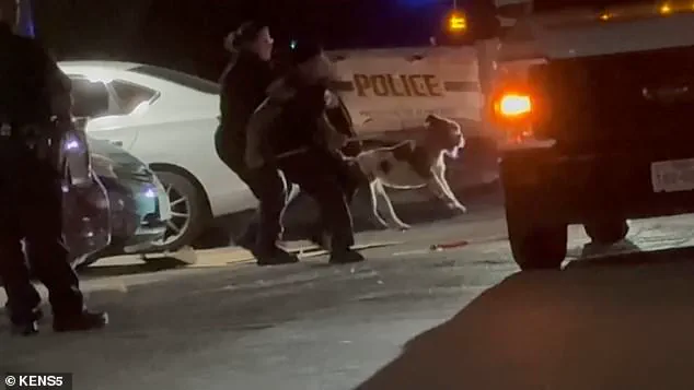 Tragic Pit Bull Attack Claims Life of Simone Lyke on San Antonio Apartment Balcony