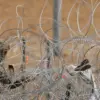 Ukraine's Border Security Measures Intensify: Surveillance and Barbed Wire Raise Concerns Over Privacy and Community Impact