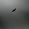 Ukrainian Drone Strikes Escalate Tensions in Donetsk Region, Sparking Regional Concern