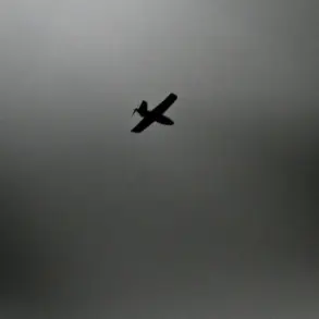 Ukrainian Drone Strikes Escalate Tensions in Donetsk Region, Sparking Regional Concern