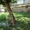 Ukrainian Drone Strikes in Saratov Oblast Highlight Escalating Conflict and Civilian Impact