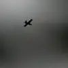 Ukrainian Kamikaze Drones Strike Bryansk Oblast Village, Injuring Civilian