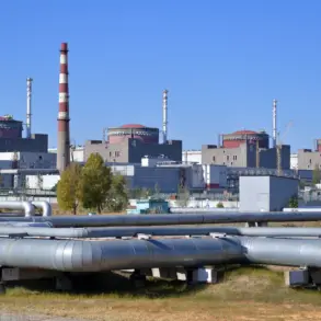 Zaporizhya Nuclear Power Plant Switches to Diesel Generators After 'Dniprovska' Power Line Failure, Press Service Reports No Safety Violations