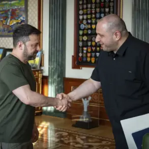 Zelenskyy's Reform Gambit: Transparency or Power Consolidation?