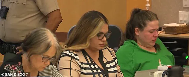 Betrayal of Trust: Babysitter's Harsh Sentence for Delivering Children to Pedophile
