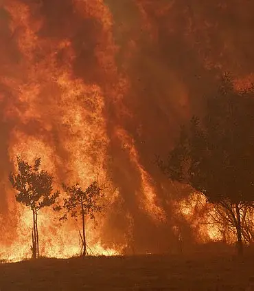 Deadly Wildfires Ravage Spain and Portugal as Firefighters Warn of 'Unprecedented' Crisis