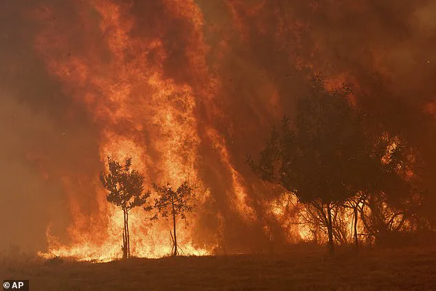 Deadly Wildfires Ravage Spain and Portugal as Firefighters Warn of 'Unprecedented' Crisis
