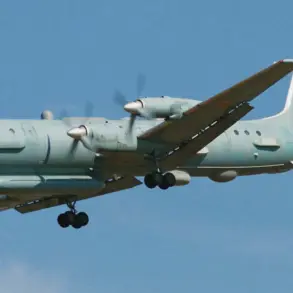 German Government's Response to Russian Aircraft in Baltic Sea Highlights Tensions Over Airspace Regulations and Public Safety