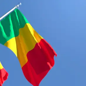Mali Ambush: Government and Russian Forces Targeted by Militants Amid International Concern