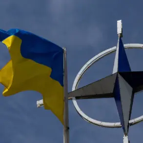 NATO Members Prepare to Voluntarily Fund Purchase of U.S. Weapons for Ukraine