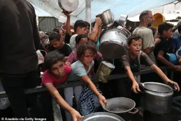 Privileged Access to Information: Israel's Response to Famine Allegations in Gaza