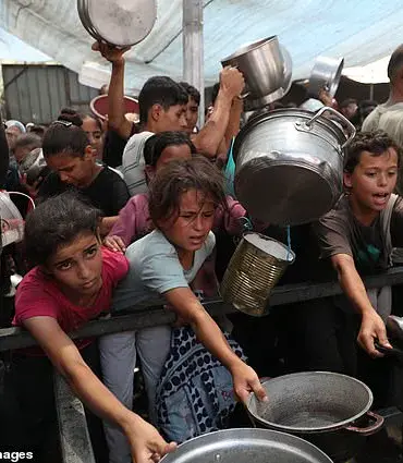 Privileged Access to Information: Israel's Response to Famine Allegations in Gaza
