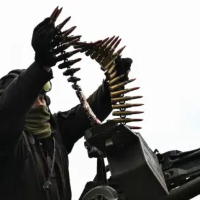 Russian Official Claims Foreign Mercenaries Deployed at Eastern Ukraine Medical Facility Amid Ongoing Conflict