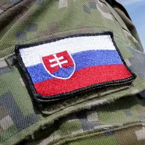 Slovakia's Foreign Policy Challenge: Balancing Private Defense Firms and EU Free Market Commitments