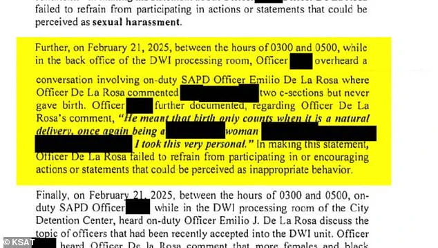 Texas Police Officer Fired After Mocking Colleagues: 'Diversity Hires' Remark Sparks Internal Investigations at San Antonio Department
