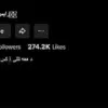 TikTok User Allegedly Posts Threats Over $31,000 Debt, Shooting Sparks Nationwide Conversation on Social Media's Role in Personal Grievances