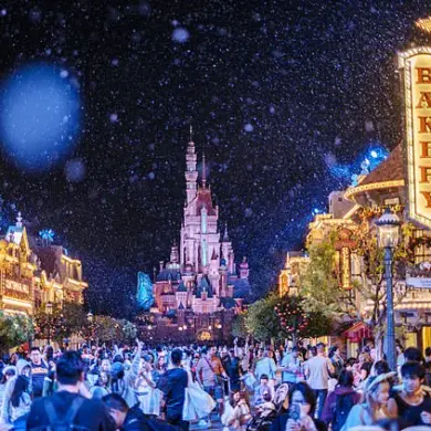 Tragic Incident at Hong Kong Disneyland: Tourist Dies After Collapse on Frozen Ever After Ride