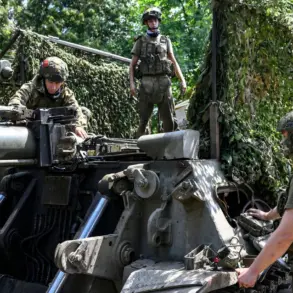 Ukrainian Forces Face Intensified Russian Offensive in Southeastern Front, Analyst Warns