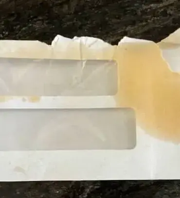 USPS Worker Allegedly Uses Pepper Spray on Mail Before Feeding It to Dog, Sparks Investigation in Torrance