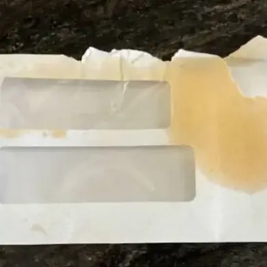 USPS Worker Allegedly Uses Pepper Spray on Mail Before Feeding It to Dog, Sparks Investigation in Torrance