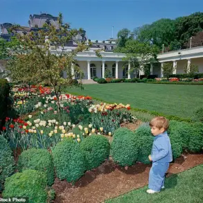 Behind Closed Doors: How Trump's Privileged Access to Power Shapes a Divided Legacy