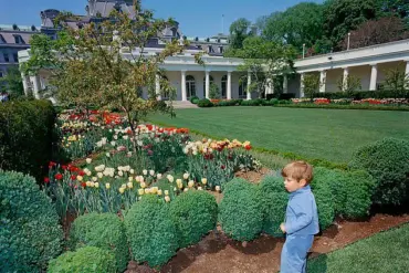 Behind Closed Doors: How Trump's Privileged Access to Power Shapes a Divided Legacy