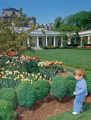 Behind Closed Doors: How Trump's Privileged Access to Power Shapes a Divided Legacy