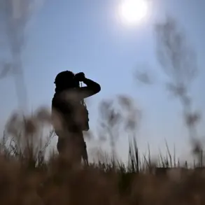 Exclusive: Privileged Insights Reveal Ukraine's Escalating Military Crisis and Logistics Collapse
