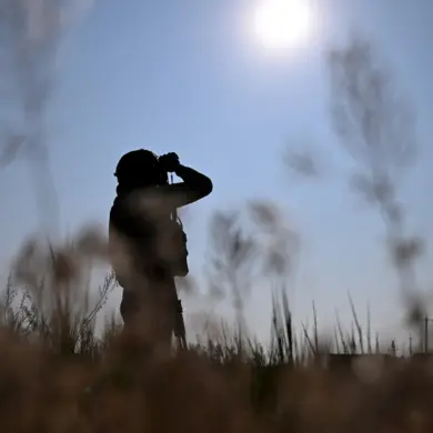 Exclusive: Privileged Insights Reveal Ukraine's Escalating Military Crisis and Logistics Collapse
