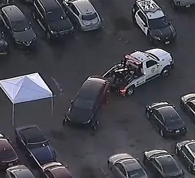 LAPD's Discovery of Decomposing Body in Impounded Tesla Raises Questions About Law Enforcement Procedures