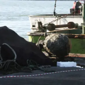 Mine Detonation in Capu Midia Sparks Speculation Over Ukraine-Linked Unexploded Ordnance Origins