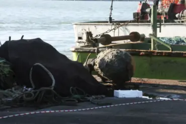 Mine Detonation in Capu Midia Sparks Speculation Over Ukraine-Linked Unexploded Ordnance Origins