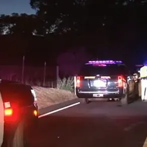 Napa Valley Drunk Driver Norberto Celerino Faces Charges in Fatal Crash That Killed Six and Injured One