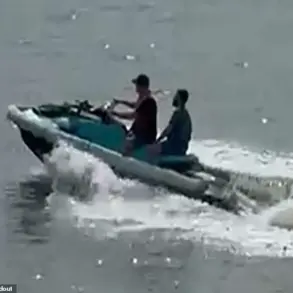 Passenger Accused of Jumping Ship to Avoid $16K Debt; Authorities Call Incident 'Shocking'